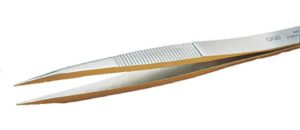 Brucelle à branches épaisses 00B-SA