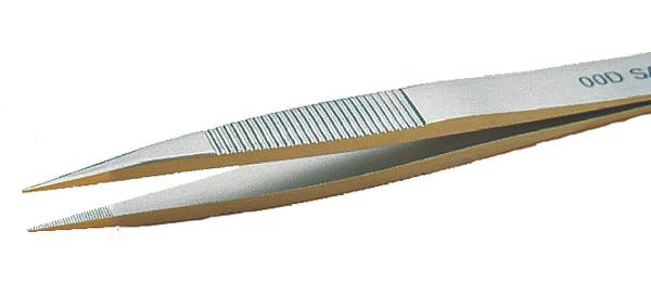 Brucelle à branches épaisses et plates 00D-SA