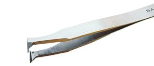 Brucelle coupante tête oblique 15AP