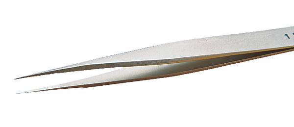 Brucelle pointes fortes et fine 3-SA