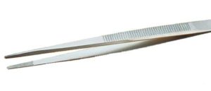 Brucelle forte à stries externes et internes 21-SA