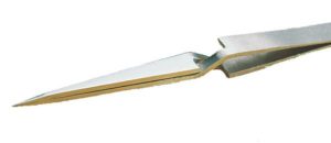 Brucelle forte pointes fines AAR-SA